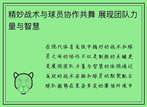 精妙战术与球员协作共舞 展现团队力量与智慧