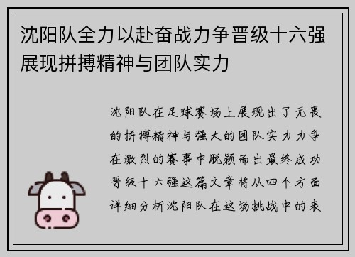沈阳队全力以赴奋战力争晋级十六强展现拼搏精神与团队实力